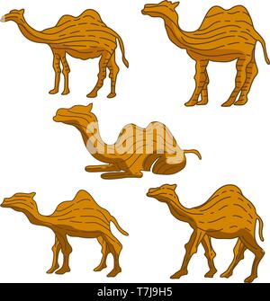 Kamel Abbildung Tier Vektor Design Stock Vektor