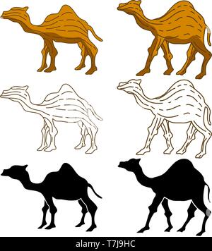 Kamel Abbildung Tier Vektor Design Stock Vektor