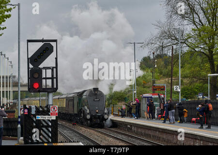 Sir Nigel Gresley EIN 4 Dampflokomotive Micklefield, West Yorkshire, Nordengland, Großbritannien Stockfoto
