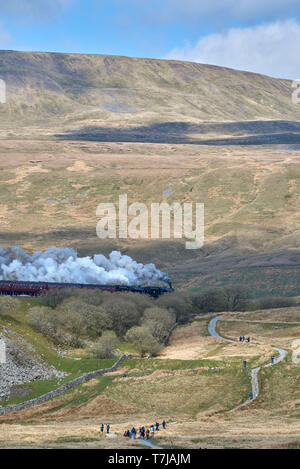 Dampfzug auf der Regeln & Carlisle Railway, Ribblehead, North Yorkshire, Nordengland, Großbritannien Stockfoto