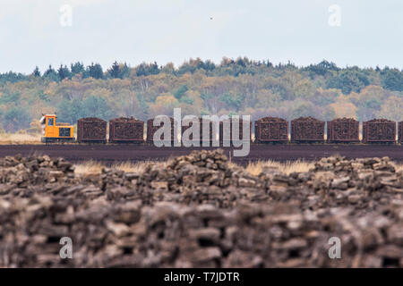 Rasen Zug am Moorbecken in Diepholz, Deutschland Stockfoto