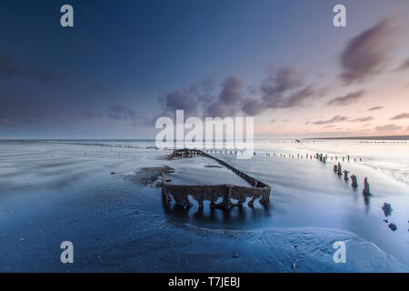 Wrack am Wattenmeer in wierum Stockfoto