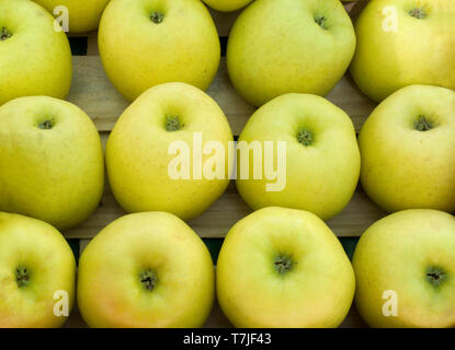 Frisch geerntete Golden Delicious äpfel auf dem Markt in Frankreich Stockfoto