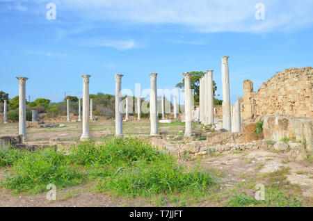 Herrliche Aussicht auf den gut erhaltenen Ruinen der antiken griechischen Stadt Salamis in Nord Zypern. Die korinthischen Säulen waren Teil von Salamis Gymnasium. Stockfoto