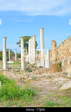 Vertikale Fotografie von gut erhaltenen korinthischen Säulen, die Teil von Salamis Ruinen im türkischen Nordzypern mit blauer Himmel über. Stockfoto