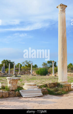 Spektakuläre Ruinen der antiken griechischen Stadt Salamis mit blauer Himmel über. Die antiken Säulen waren Teil von Salamis Gymnasium in Zypern. Stockfoto