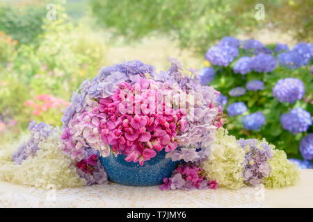 Bunten Strauß von rosa vetch Vicia Blumen in einem alten blau Emaille Schüssel mit Hortensie blüht in einem Land Garten an einem sommerlichen Tag Stockfoto