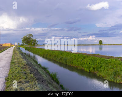 Livorno Ferraris, Piemont, Italien - 4. Mai 2019: Reisfelder im Frühjahr. Stockfoto