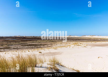 Raabjerg Mile und angrenzenden Feuchtgebiet, April, Nordjütland, Dänemark Stockfoto