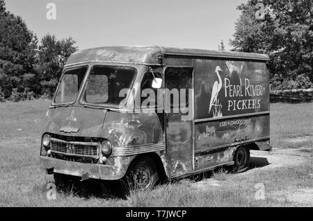 Alte antike Chevrolet panel Truck auf der Weide. Stockfoto