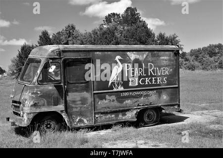 Alte antike Chevrolet panel Truck auf der Weide. Stockfoto