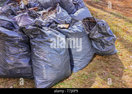 Schwarze Plastiktüten mit trockenen Blättern im letzten Jahr auf der Wiese im Park. Stockfoto