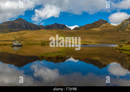 Reflexion der Anden in einer der vielen Lagunen im Cajas Nationalpark außerhalb von Cuenca, Ecuador. Stockfoto