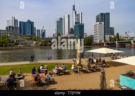 Frankfurt am Main, Blick auf die Skyline der Innenstadt, vom on the left side Mainufer, Uferweg, Stockfoto