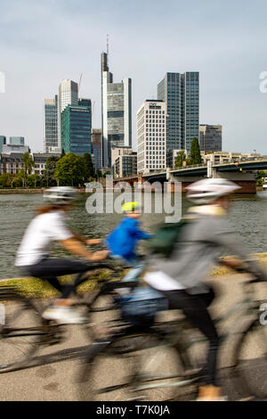 Frankfurt am Main, Blick auf die Skyline der Innenstadt, vom on the left side Mainufer, Uferweg, Stockfoto