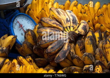 Waage und Haufen von Saba Bananen zum Verkauf von einem Straßenhändler Stockfoto