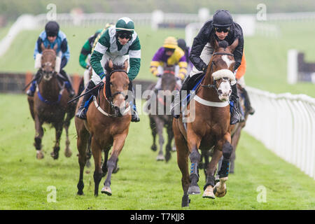 Kelso, Scottish Borders, Großbritannien. 8. Mai 2019. Emerald Chieftan, geritten von Harry Skelton und von Rebecca Menzies geschult, gewinnt die Villa Sandi Handicap Hürde Verfolgung bei Kelso Pferderennbahn. Credit: Scottish Borders, Medien/Alamy leben Nachrichten Stockfoto