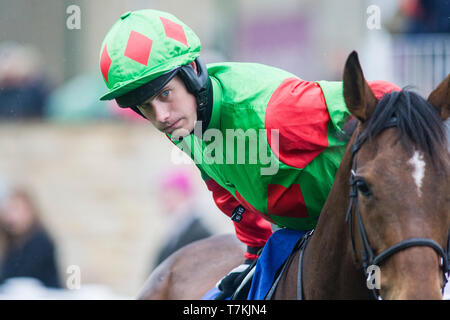 Kelso, Scottish Borders, Großbritannien. 8. Mai 2019. Kitty Fisher, geritten von Thomas Willmott und von Sandy Forster geschult, bevor die Douglas Home & Co Anfänger "Handicap Steeple Chase in Kelso Pferderennbahn. Credit: Scottish Borders, Medien/Alamy leben Nachrichten Stockfoto