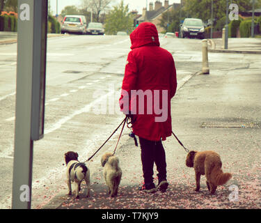 Glasgow, Schottland, UK, 8. Mai, 2019, UK Wetter. Regen und Kälte in der Stadt, die auf einem langweiligen Tag. . Kredit Gerard Fähre / alamy Leben Nachrichten Stockfoto