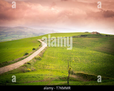 Landschaft bei Sonnenuntergang. Sinuous herrlich grünen Hügeln in der Abenddämmerung. Stockfoto