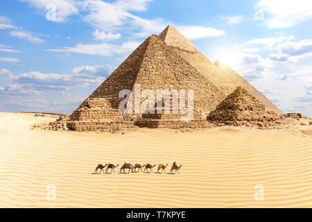 Die Pyramiden von Gizeh und ein Zug der Kamele in der Wüste, Ägypten. Stockfoto