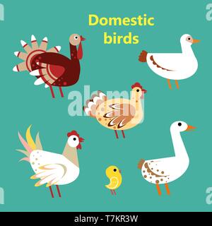Einstellen der heimischen Vögel auf einfache Farbe Hintergrund. Pädagogisches Lernspiel für den Unterricht Vorschule Im Kindergarten. Bunte flachbild Cartoon Stil illustrati Stock Vektor