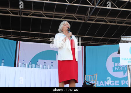 Ann Widdecombe Rede auf der Brexit Party Rally in Chester, die Veranstaltung wurde von rund 350 Personen besuchten Stockfoto