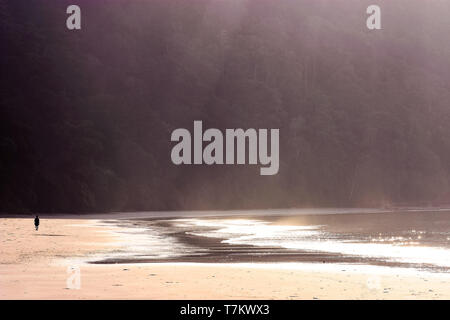 Einsamer Mann gehen an Radhanagar Strand von Havelock Island, Andaman und Nicobar Inseln Stockfoto