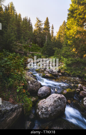Mountain Creek fließt über die Felsen im Wald Stockfoto