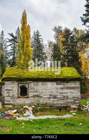 Aufgegeben, Wohnhaus vor dem endgültigen Abriss ruiniert Stockfoto