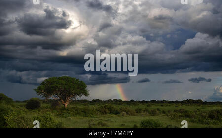 Rainbow nach Sturm in Afrika, Landschaft und cloudscape in Kenia Stockfoto