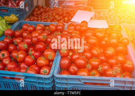 Rote reife Tomaten sind auf dem bauernmarkt an einem Herbsttag im Kunststoff blau Boxen mit anderen Gemüse verkauft. Bauernmarkt in Prag. Stockfoto