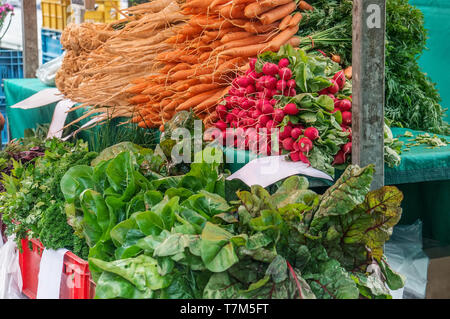 Frische Karotten, Petersilie und verschiedene Arten von Salat sind auf dem bauernmarkt an einem Herbsttag im Kunststoff blau Boxen mit anderen Gemüse verkauft. Fa Stockfoto