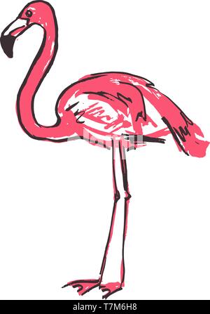Vector Illustration eines Rosa cartoon Flamingo. Skizze eines Flamingo Vogel auf einem weißen Hintergrund. Stock Vektor