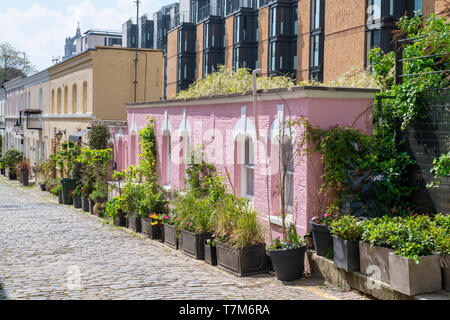 Lackiert rosa Haus mit Sträuchern in Pflanzmaschinen. Ennismore Gärten Mews, South Kensington, London. England Stockfoto