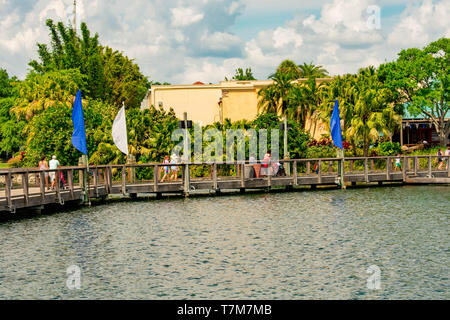 Orlando, Florida. April 7, 2019. Teilweise mit Blick auf die hölzerne Brücke, Palmen und Bäumen an bewölkten Himmel Hintergrund in Seaworld in International Drive Stockfoto