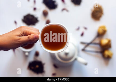 Hand, die eine Tasse Tee. Frau mit einer Tasse Tee mit Tee- und Rosenblüten und andere Tee Zutaten auf dem Hintergrund getrocknet. Flach anzeigen Stockfoto