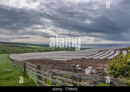 Auf der Suche nach unten von der elektrischen Brae in South Ayrshire über Bauern Felder Ailsa Graig auf hellem bewölkten Tag in Schottland. Stockfoto