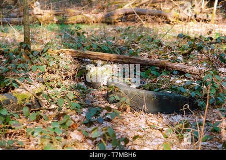 Autoreifen in den Wäldern, alten Reifen im Wald Stockfoto