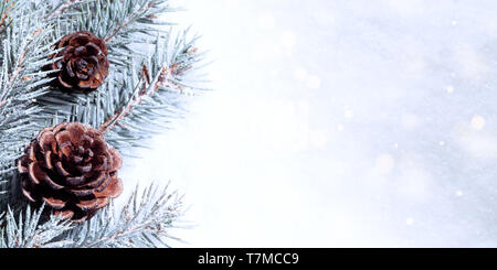 Weihnachten Winter Hintergrund mit Schnee und tanne Zweig Stockfoto