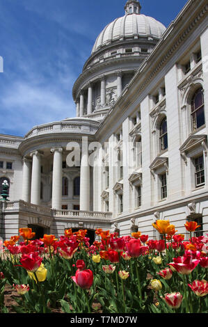 Wisconsin State Capitol Building Frühling Ansicht mit Blumenbeet mit hellen Tulpen im Vordergrund. Stadt Madison, der Hauptstadt von Wisconsin, Midwe Stockfoto