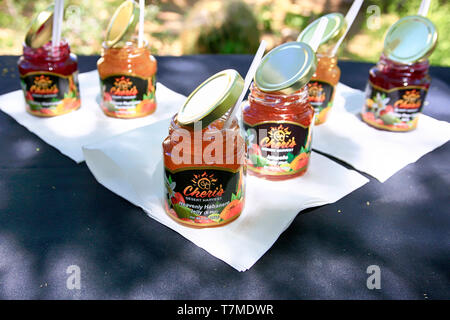 Die Cheri Wüste Ernte Pepper Jelly Anzeige am Cinco de Mayo tag Fall an der Tohono Chul Park in Tucson, AZ Stockfoto