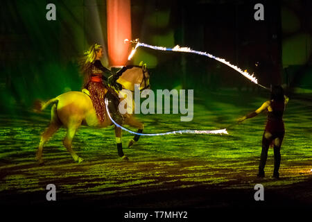 Reine Spanische Pferd, Andalusische. Interpret während einer Horse Show mit Feuer Stockfoto