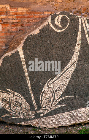 Mosaiken in Bäder von Caracalla (Italienisch: Terme di Caracalla) in Rom, Italien Stockfoto