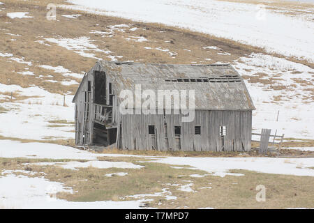 Alte Scheunen in Alberta, Kanada dot die Prärien erinnert an längst vergangene Tage. Stockfoto