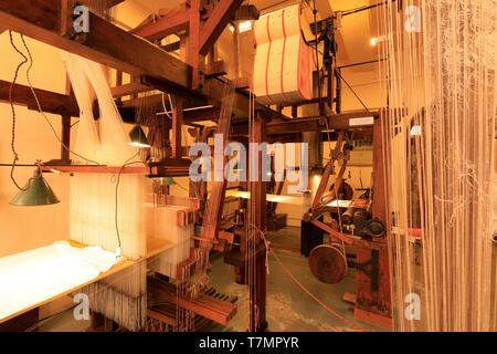 Frankreich, Rhône, Lyon, 4. Arrondissement, Le Plateau Stadtteil La Croix Rousse, das Haus des Canuts Stockfoto