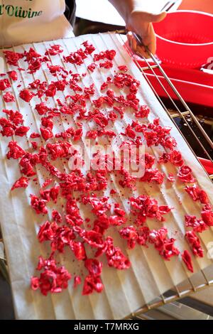 Frankreich, Alpes Maritimes (06), Peymeinade, Domaine du Mas de l'Olivin, Au Pays d'Audrey, Vorbereitung de confiseries de Rose Stockfoto