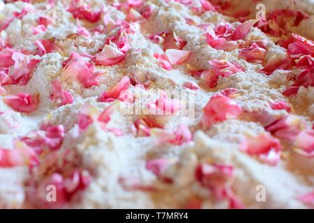 Frankreich, Alpes Maritimes (06), Peymeinade, Domaine du Mas de l'Olivin, Au Pays d'Audrey, Vorbereitung de confiseries de Rose Stockfoto