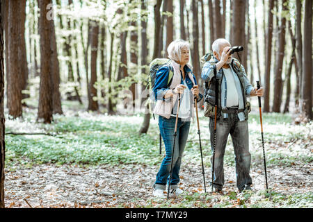 Senior paar Suche mit dem Fernglas beim Wandern im Wald. Konzept eines aktiven Lebensstils auf Ruhestand Stockfoto