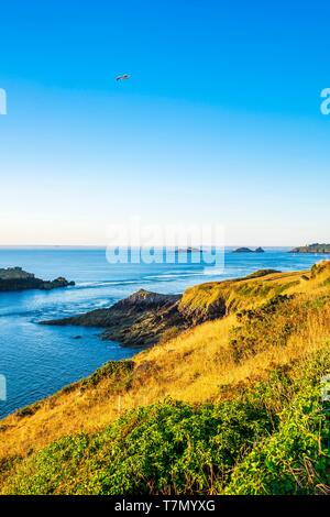 Frankreich, Ille-et-Vilaine, Costa Smeralda, Cancale, Panorama von Pointe du Grouin, rimains Insel im Hintergrund Stockfoto